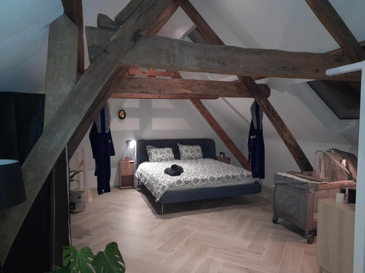 Suite City Center In Quiet Street & Airco Antwerpen Ngoại thất bức ảnh