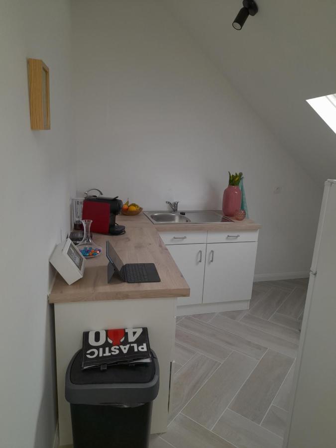 Suite City Center In Quiet Street & Airco Antwerpen Ngoại thất bức ảnh